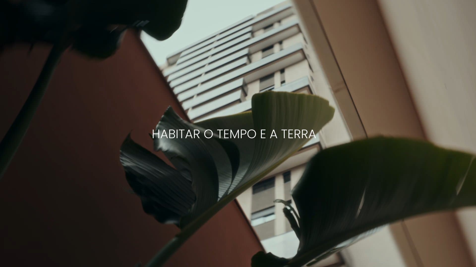 Como Tudo Começou